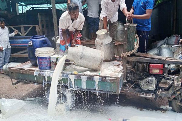 ডিটারজেন্ট, তেল ও সোডা দিয়ে দুধ তৈরি, আটক ২